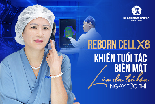Web Reborn Lan full