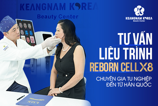 YWeb Reborn Lan TV
